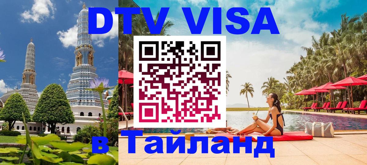 Оформление DTV визы под ключ: стоимость и тарифы, только загранпаспорт - Рубцовск 